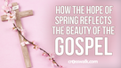 How the Hope of Spring Reflects the Beauty of the Gospel