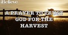 A Prayer to Trust God for the Harvest