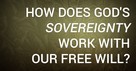 How Does God's Sovereignty Work with Our Free Will?