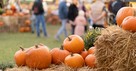 5 Halloween Activities That Point Kids to Jesus 