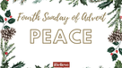 Fourth Sunday of Advent - Peace // Sunday Dec. 24th Readings and Prayers for Lighting the Candle