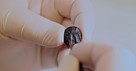 Israeli Excavation Reveals 3,000-Year-Old Seal with Name from 1 Chronicles