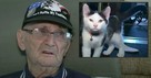 84-Year-Old Army Veteran Spent 16 Hours on Floor after Fall but Then His Cat Saves His Life