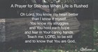 A Prayer for Stillness When Life is Rushed