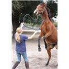 Lonya and Mitchell Reynolds