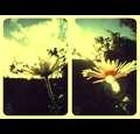 Bernd Andreas Lindner