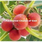 Samuel Susanth Prabhu Bethapudi