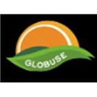 globuse realtors