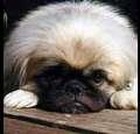 First Baptist Church Cairo