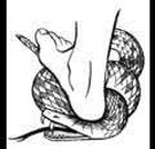 Free From Gnosticism