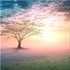 Healing Through Hope