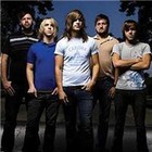 Ivoryline