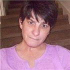 Deer The Warrior Doge