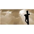 Tekoa Haviland-Phillips