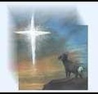 Janette Trost - High