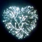 Keeping It Lit Media