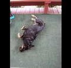 Left Hand Impact Ministry