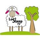 Lost Sheep