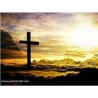 Gloria Faith Carolfi