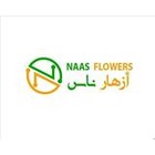 naas flowers