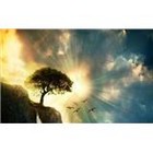 Post from the Prodigal Son