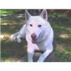 Linda Willbanks Webb