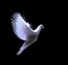 Christian Rock N\' Roll Fans!