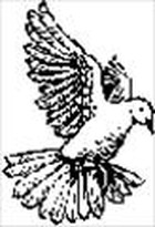 Steadfast Christian Church