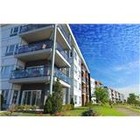 Tata Carnatica Prices