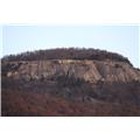 Dellwood Baptist Church