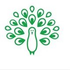 Virtue Analytics SEO