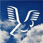 Vision Shorts Production LLC