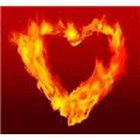 joseph-patty  wilson