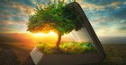 Why Do Specific Numbers in the Bible Have Important Meaning?