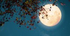 Does Halloween Celebrate Evil?