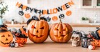Does Halloween Really Celebrate Evil and Darkness?