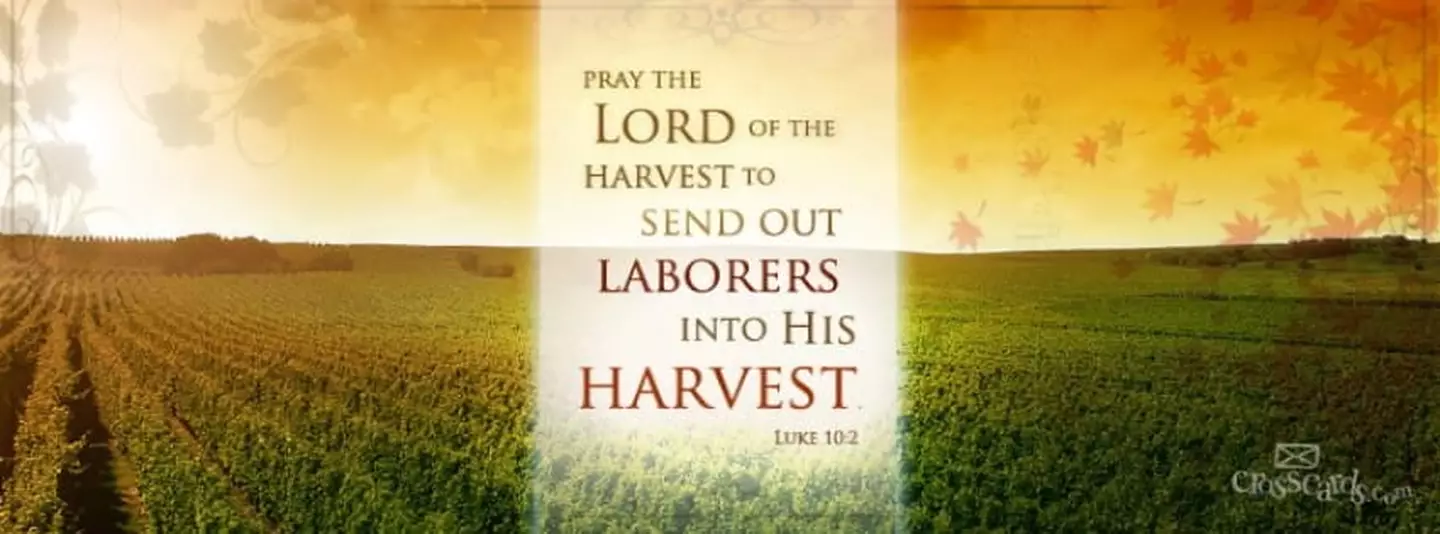 Luke 10 2 Bible Verse Of The Day For 10 9 luke-10-2-bible-verse-of-the-day-for-10-9