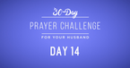 30 Day Prayer Challenge for Your Husband - Day 14: Pray About Any Areas of Disagreement 
