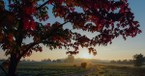 10 Beautiful Psalms for Autumn & Prayers for a New Season