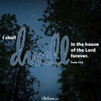 Your Daily Verse - Psalm 23:6