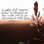 Your Daily Verse - 1 Thessalonians 5:18