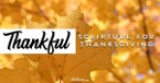 30 Heart-Warming Bible Verses For Thanksgiving & Gratitude