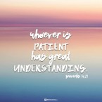 Your Daily Verse - Proverbs 14:29