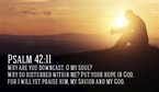 Your Daily Verse - Psalm 42:11