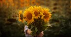 A Prayer to Remember God Is in the Great Outdoors - Your Daily Prayer - October 6