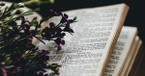 Can the Bible Help Us to Overcome Stress?