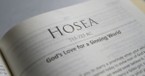 Book of Hosea Summary