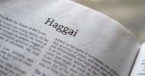 Book of Haggai Summary