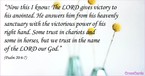 Your Daily Verse - Psalm 20:6-7
