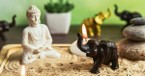 Destroy Your Idols - iBelieve Truth: A Devotional for Women - May 7, 2025